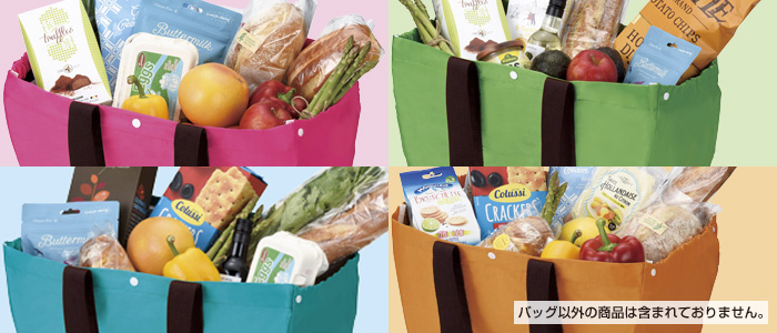 バウンスカラーレジャー&レジ保冷温バッグ